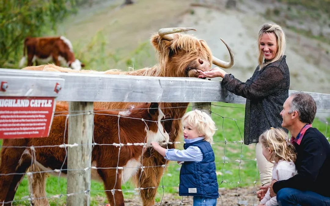 From Queenstown: TSS Earnslaw/Spirit of Queenstown with Walter Peak Farm Tour Image 4