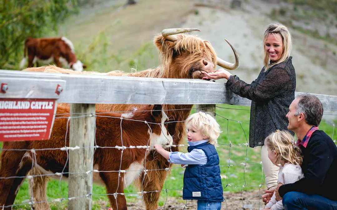 From Queenstown: TSS Earnslaw/Spirit of Queenstown with Walter Peak Farm Tour Image 4