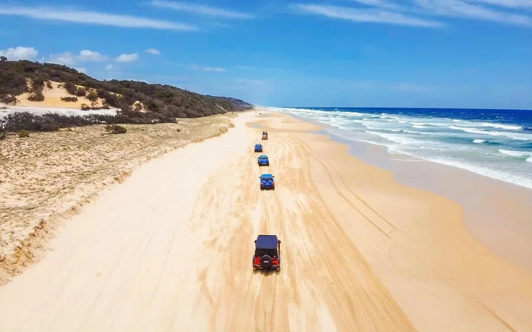 From Rainbow Beach: K'gari (Fraser Island) 1-Day Classic Tour Image 11