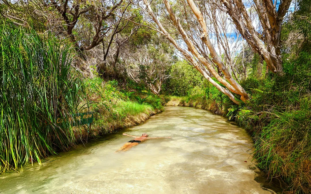 From Rainbow Beach: K'gari (Fraser Island) 1-Day Classic Tour Image 3