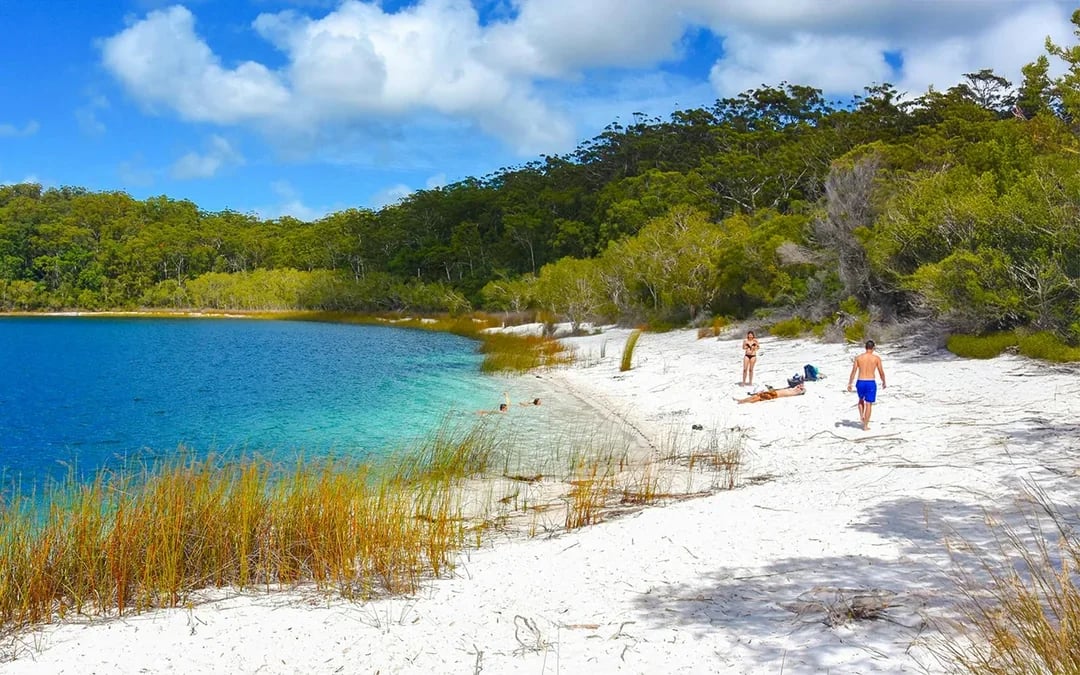 From Rainbow Beach: K'gari (Fraser Island) 1-Day Classic Tour Image 5