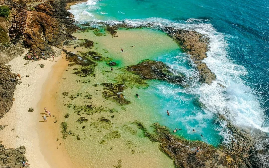 From Rainbow Beach: K'gari (Fraser Island) 3-Day Self-Drive 4WD Tour Image 8