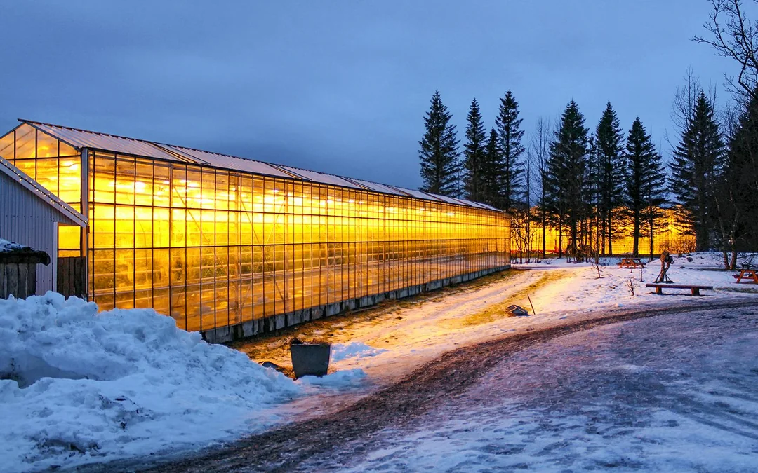 From Reykjavik: Golden Circle Full-Day Guided Tour Image 9