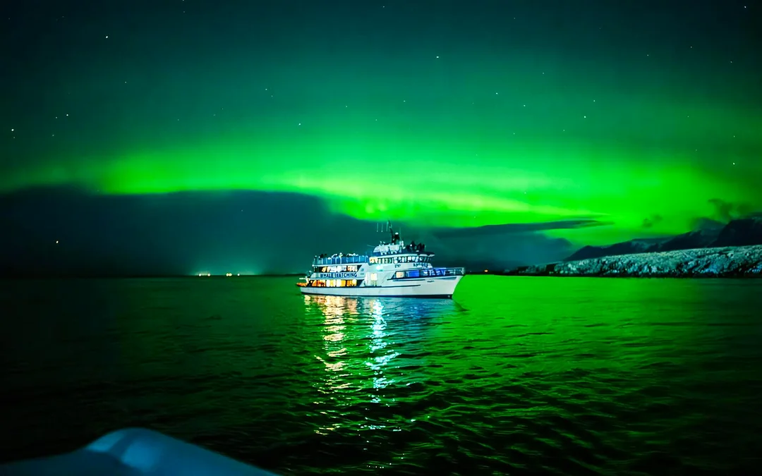From Reykjavik: Northern Lights Sightseeing Cruise
Image 1