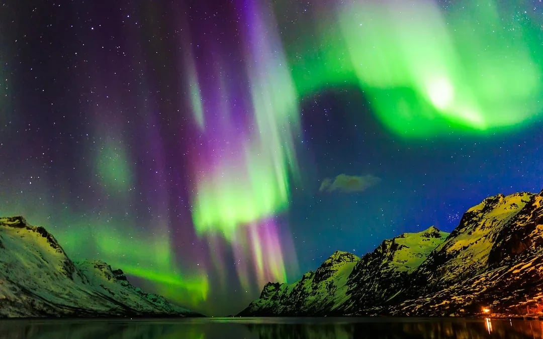 From Reykjavik: Northern Lights Sightseeing Cruise
 Image 4