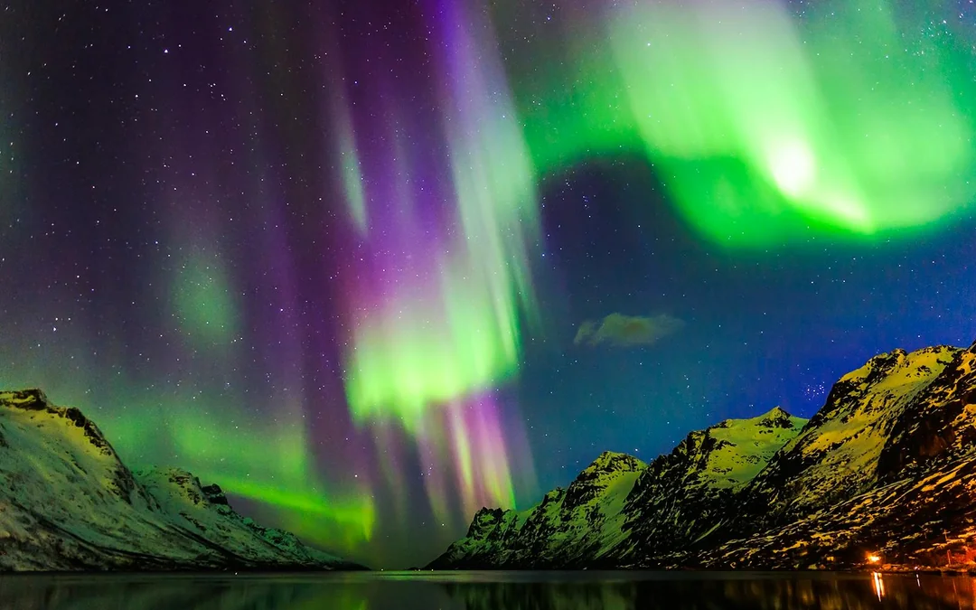 From Reykjavik: Northern Lights Sightseeing Cruise
 Image 4
