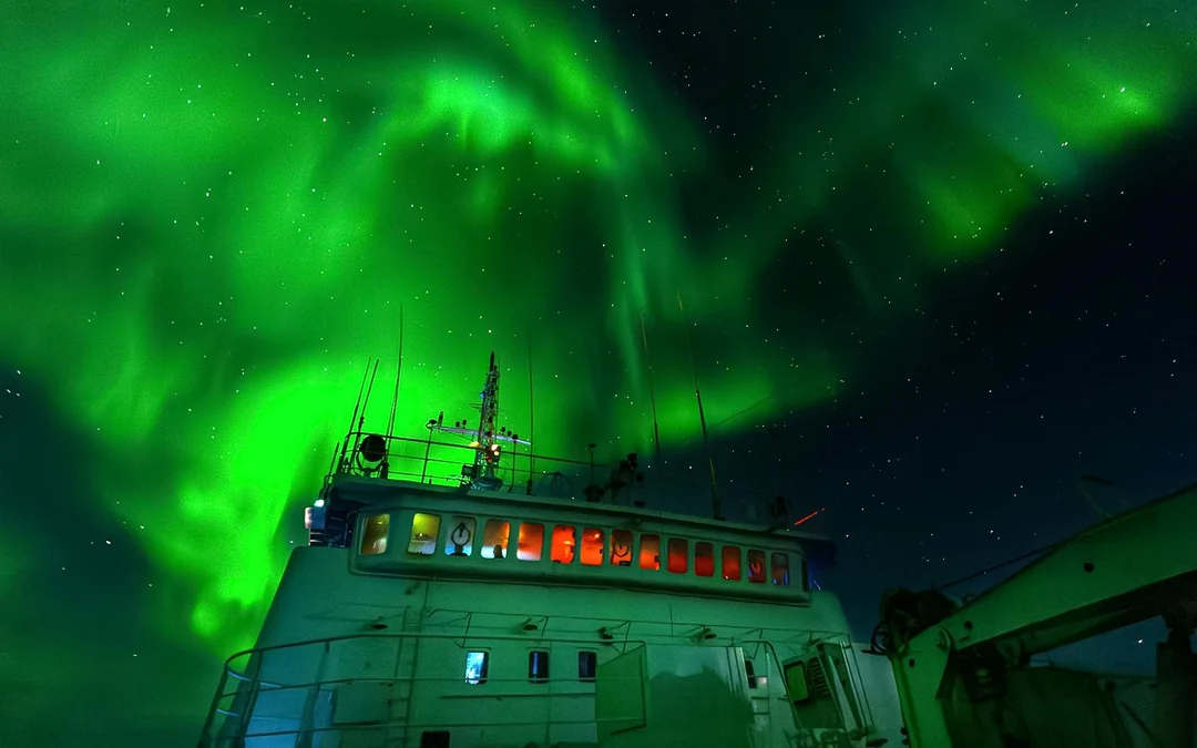 From Reykjavik: Northern Lights Sightseeing Cruise
 Image 5