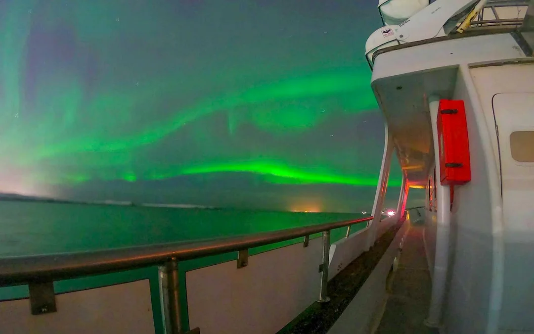 From Reykjavik: Northern Lights Yacht Cruise Image 2