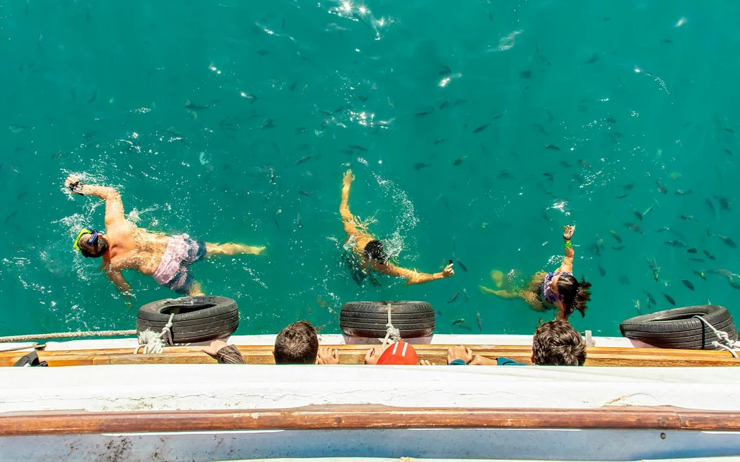 From Rio: Angra dos Reis Full-Day Tour with Schooner Cruise Image 4