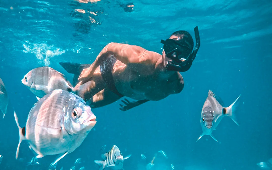 From Rio: Angra dos Reis Full-Day Tour with Schooner Cruise Image 5