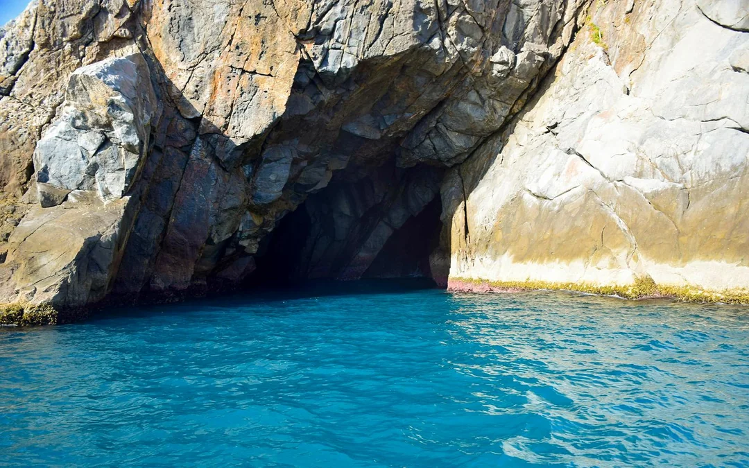 From Rio: Arraial do Cabo Full-Day Tour with Schooner Cruise Image 12