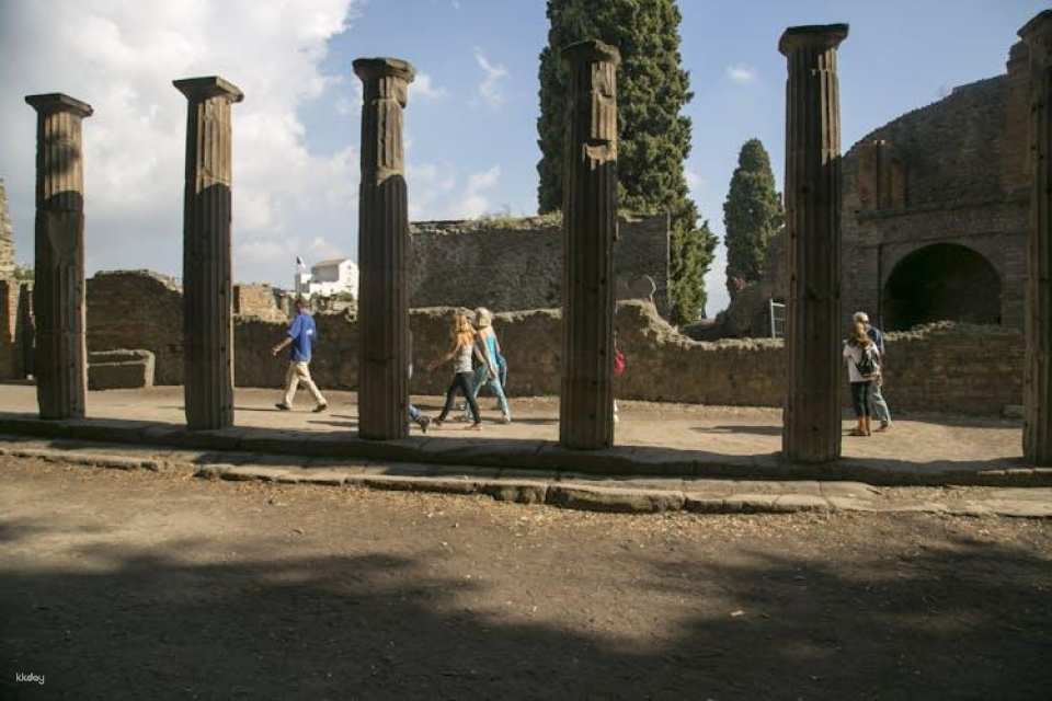 From Rome: Pompeii and Mt. Vesuvius Volcano day trip with authentic Neapolitan pizza lunch