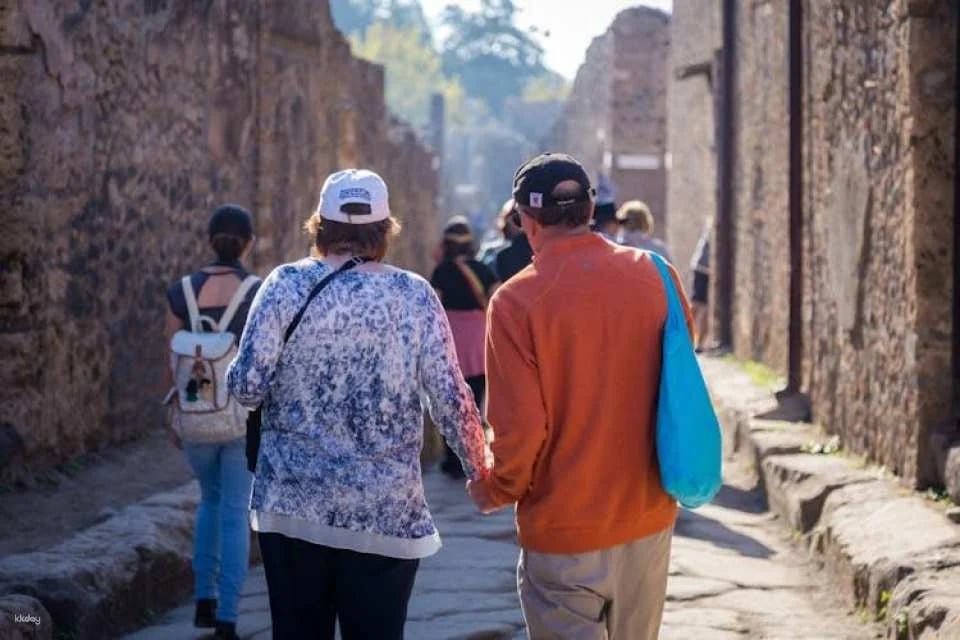 From Rome: Pompeii and Mt. Vesuvius Volcano day trip with authentic Neapolitan pizza lunch