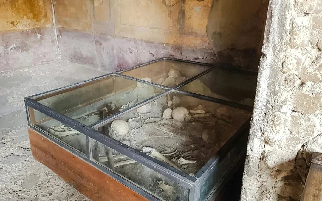 From Rome: Pompeii Day Trip with Guided Tour Image 7