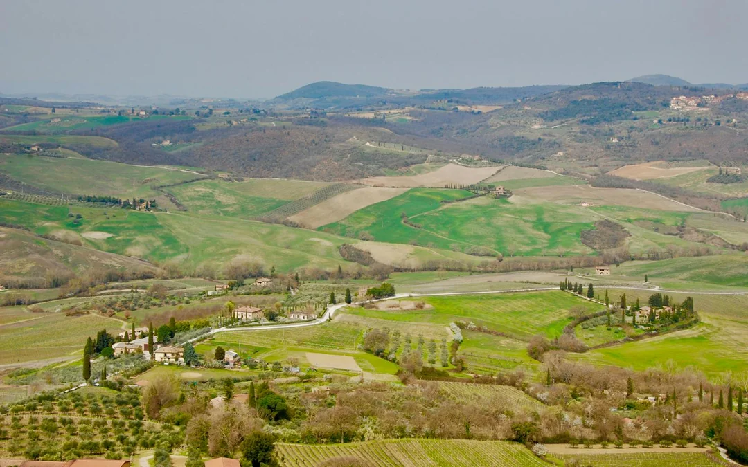 From Rome: Tuscany Day Trip with Lunch and Wine Expert‑Led Tasting Image 1