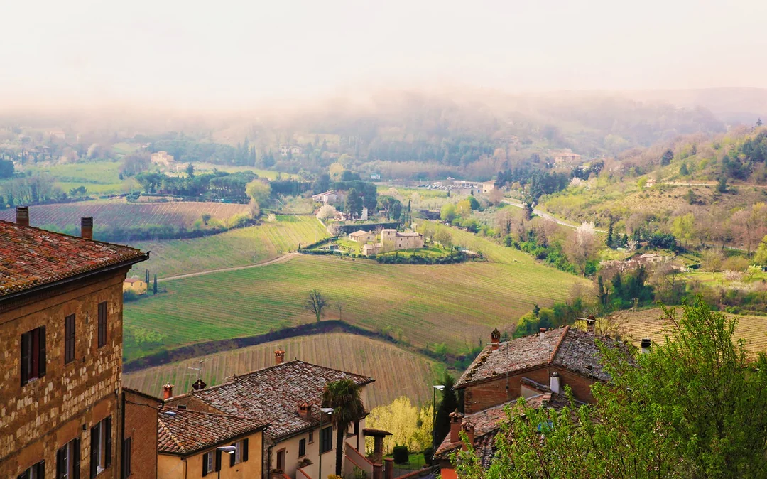 From Rome: Tuscany Day Trip with Lunch and Wine Expert‑Led Tasting Image 5