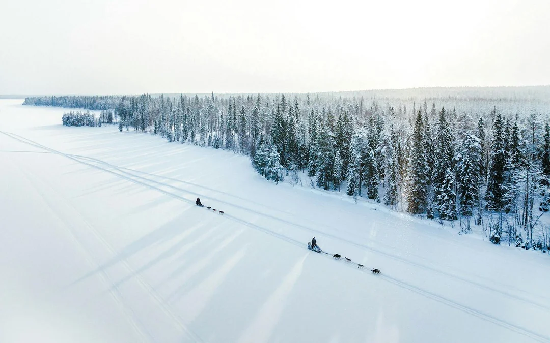 From Rovaniemi: Husky Sledding Experience Image 5