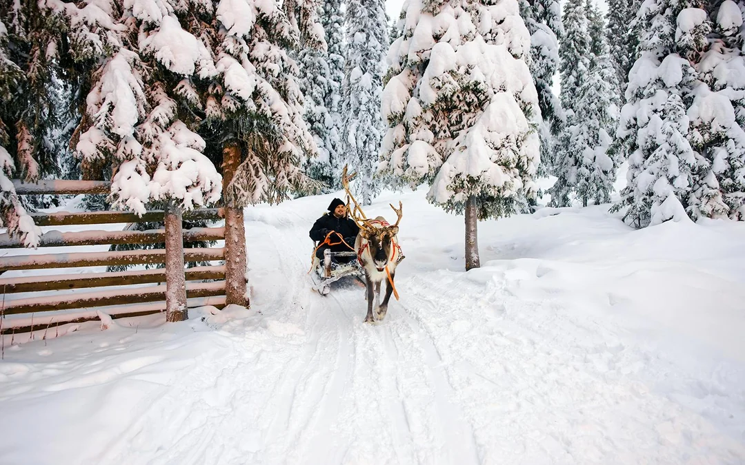 From Rovaniemi: Meet Santa Claus, Reindeer Sleigh Ride & Huskies Image 3