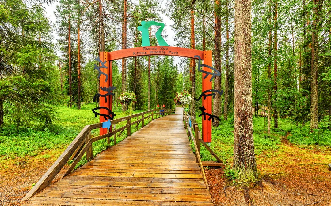 From Rovaniemi: Trip & Entry to Ranua Wildlife Park Image 2