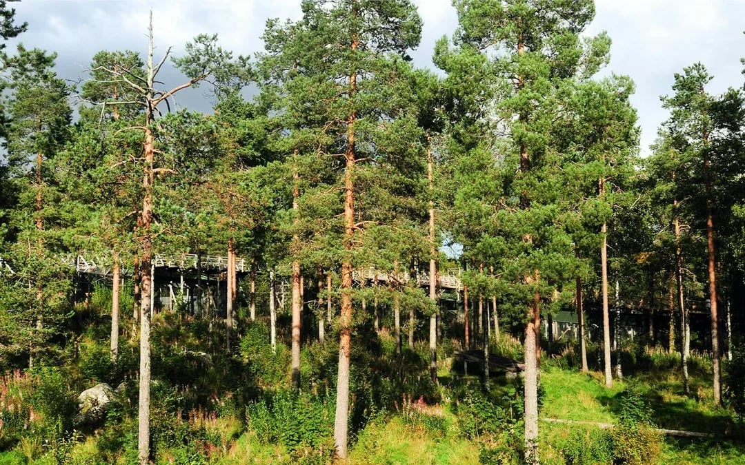 From Rovaniemi: Trip & Entry to Ranua Wildlife Park Image 6