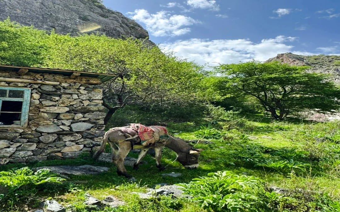 From Samarkand: Private Mountain Village Glamping Overnight Tour Image 3