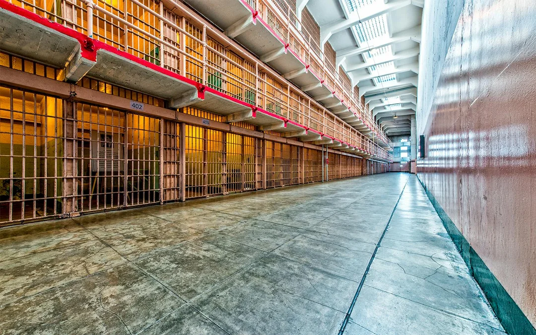 From San Francisco: Alcatraz, Aquarium of the Bay, & Napa/Sonoma Wine Country 2-Day Trip Image 4