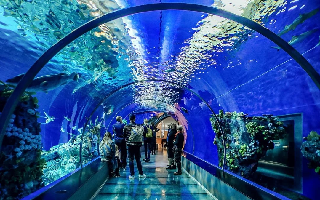 From San Francisco: Alcatraz, Aquarium of the Bay, & Napa/Sonoma Wine Country 2-Day Trip Image 5
