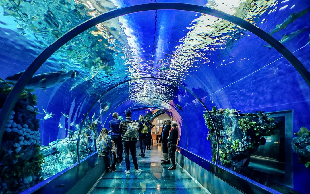 From San Francisco: Alcatraz, Aquarium of the Bay, & Napa/Sonoma Wine Country 2-Day Trip Image 5