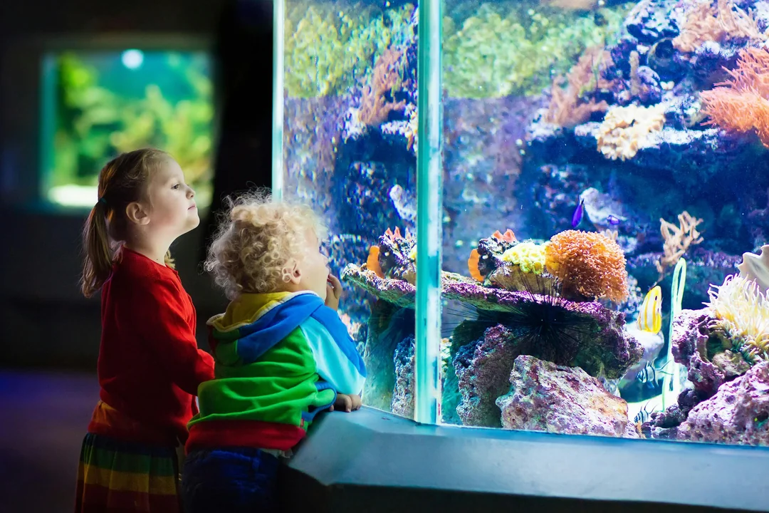 From San Francisco: Alcatraz, Aquarium of the Bay & Yosemite 2-Day Trip Image 12