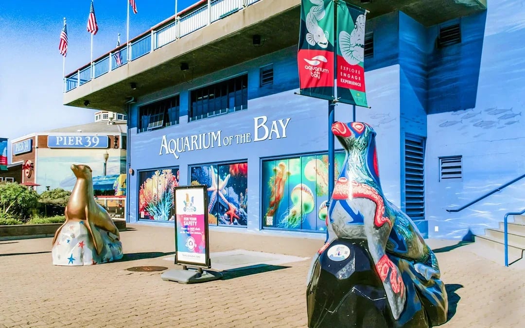 From San Francisco: Alcatraz, Aquarium of the Bay & Yosemite 2-Day Trip Image 5