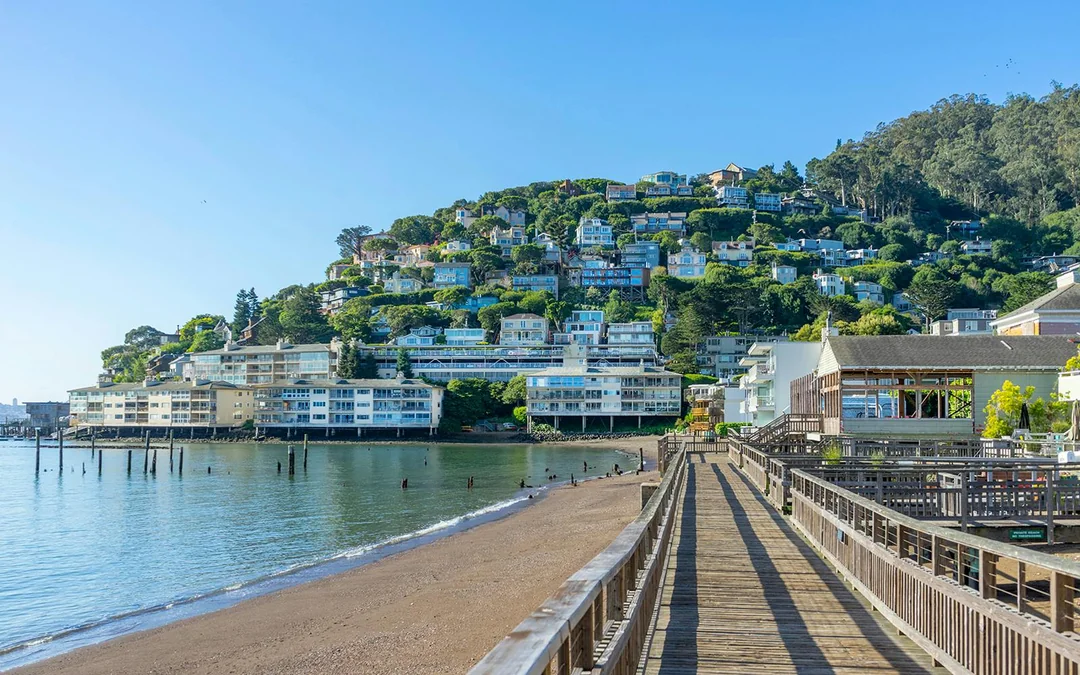 From San Francisco: Alcatraz, Muir Woods, & Sausalito Day Trip Image 3