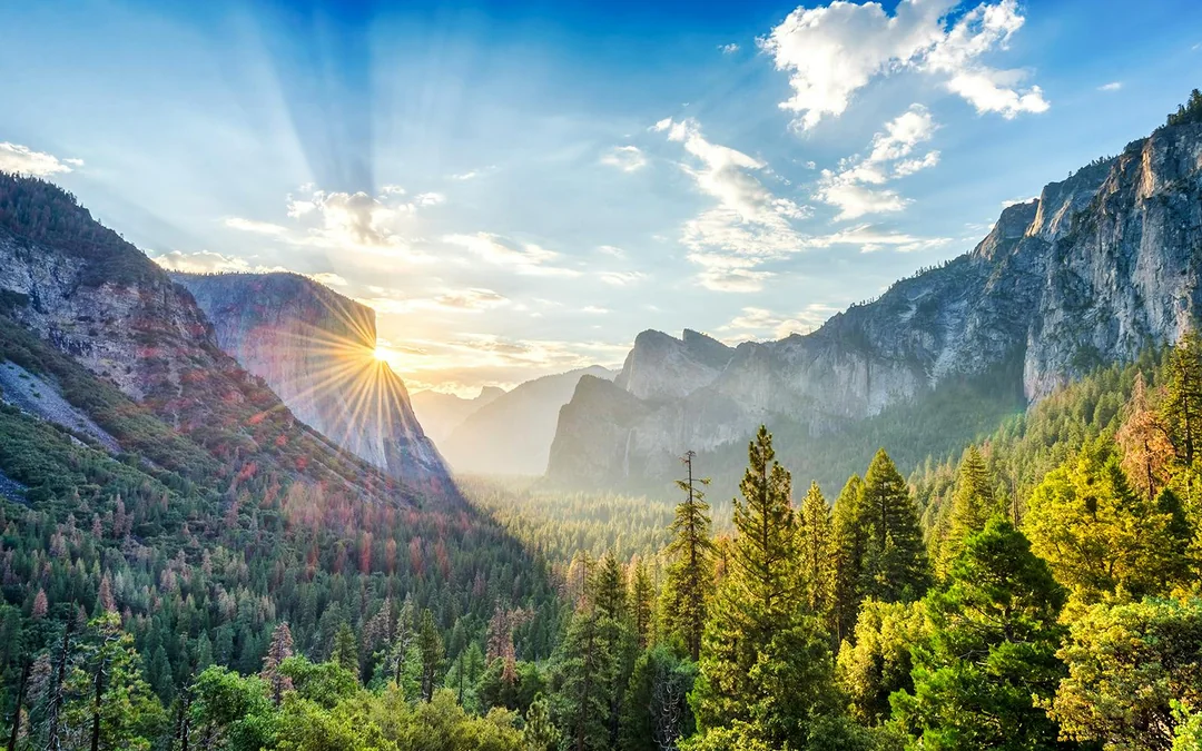 From San Francisco: Yosemite & Giant Sequoias Day Trip Image 5