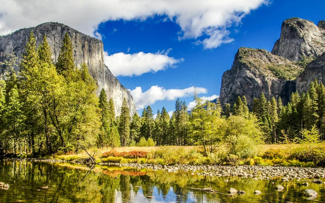 From San Francisco: Yosemite One-Way Tour Image 2