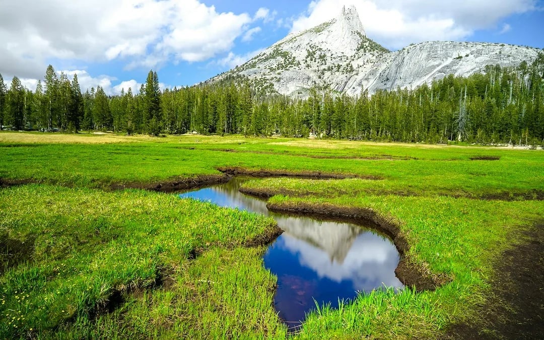 From San Francisco: Yosemite One-Way Tour Image 3