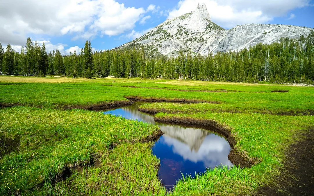 From San Francisco: Yosemite One-Way Tour Image 3