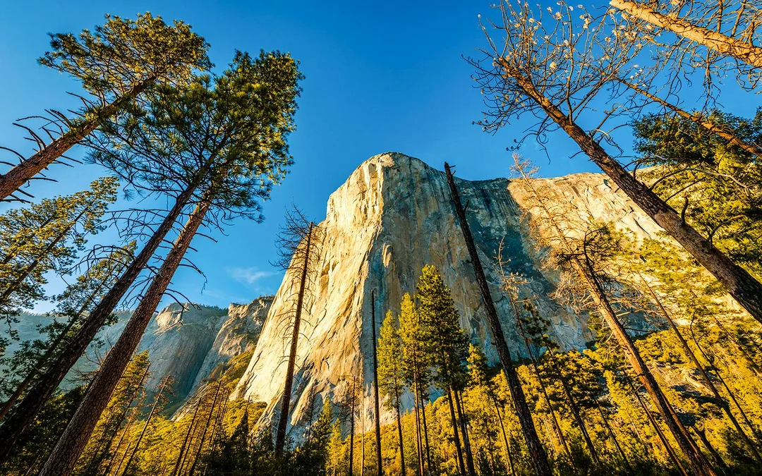 From San Francisco: Yosemite One-Way Tour Image 4