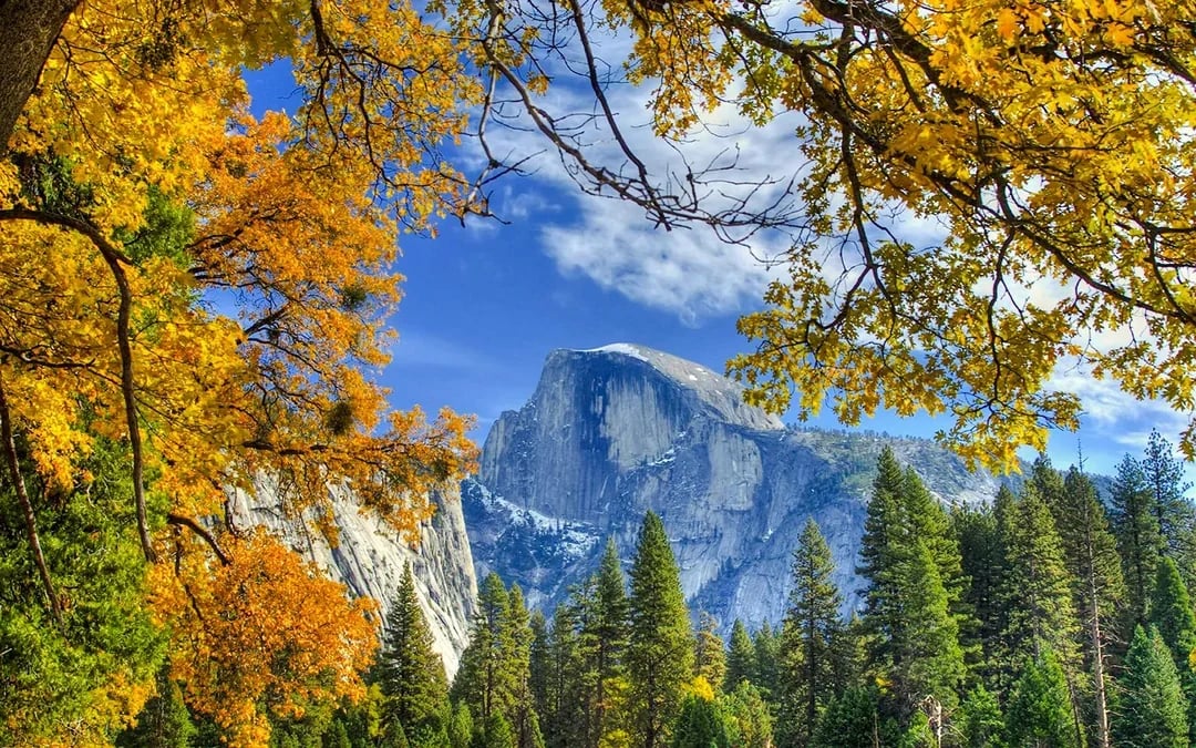 From San Francisco: Yosemite One-Way Tour Image 6