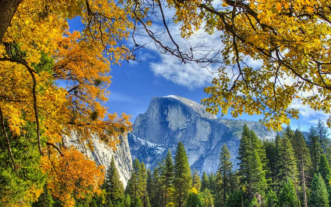 From San Francisco: Yosemite One-Way Tour Image 6