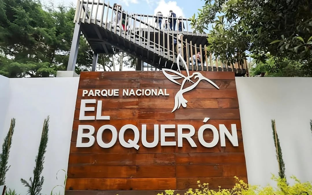 From San Salvador: Private PACAS Coffee, El Boquerón Volcano & Historic Center Tour Image 2