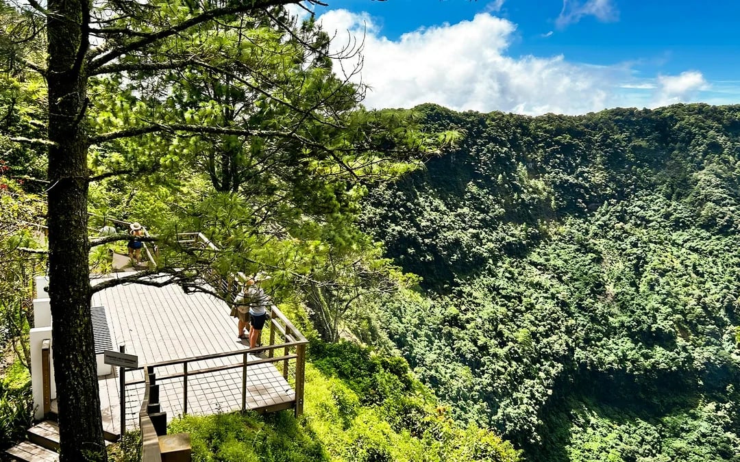 From San Salvador: Private PACAS Coffee, El Boquerón Volcano & Historic Center Tour Image 9