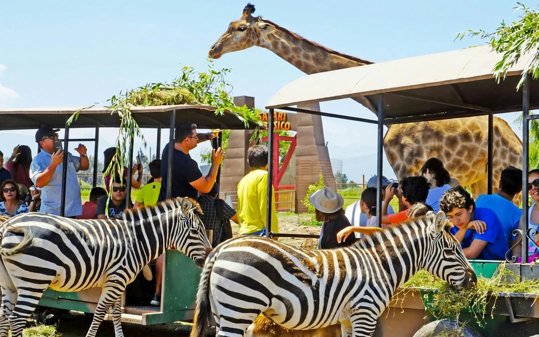 From Santiago: Parque Safari Wild Experience Image 2