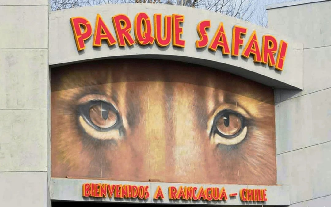 From Santiago: Parque Safari Wild Experience Image 6