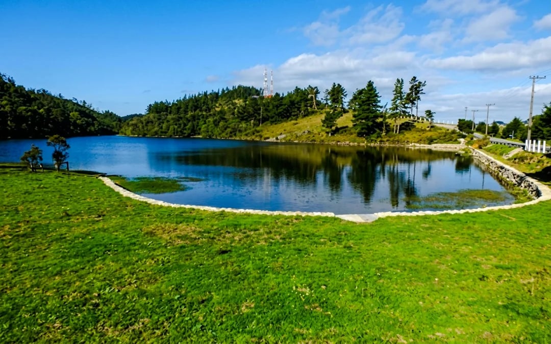 From São Paulo: Campos do Jordão Guided Day Trip Image 1
