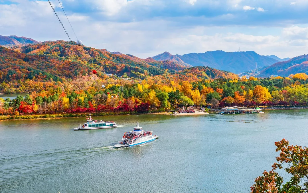 From Seoul: Alpaca World, Nami Island & Garden of Morning Calm Day Trip Image 2