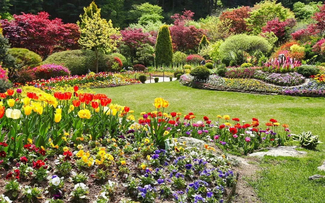 From Seoul: Alpaca World, Nami Island & Garden of Morning Calm Day Trip Image 12