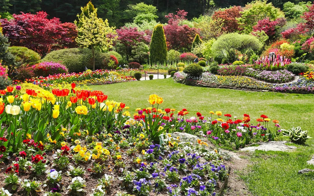 From Seoul: Alpaca World, Nami Island & Garden of Morning Calm Day Trip Image 12
