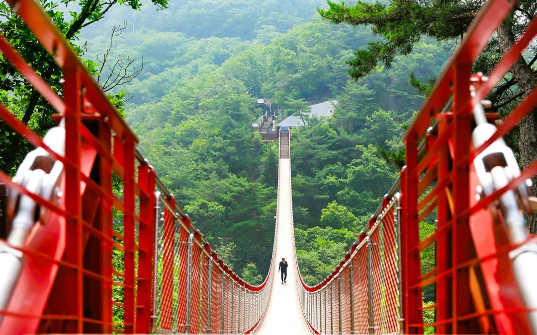 From Seoul: DMZ Day Tour with Mt. Gamaksan Suspension Bridge Visit Image 1