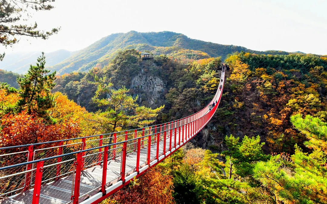 From Seoul: DMZ Day Tour with Mt. Gamaksan Suspension Bridge Visit Image 9