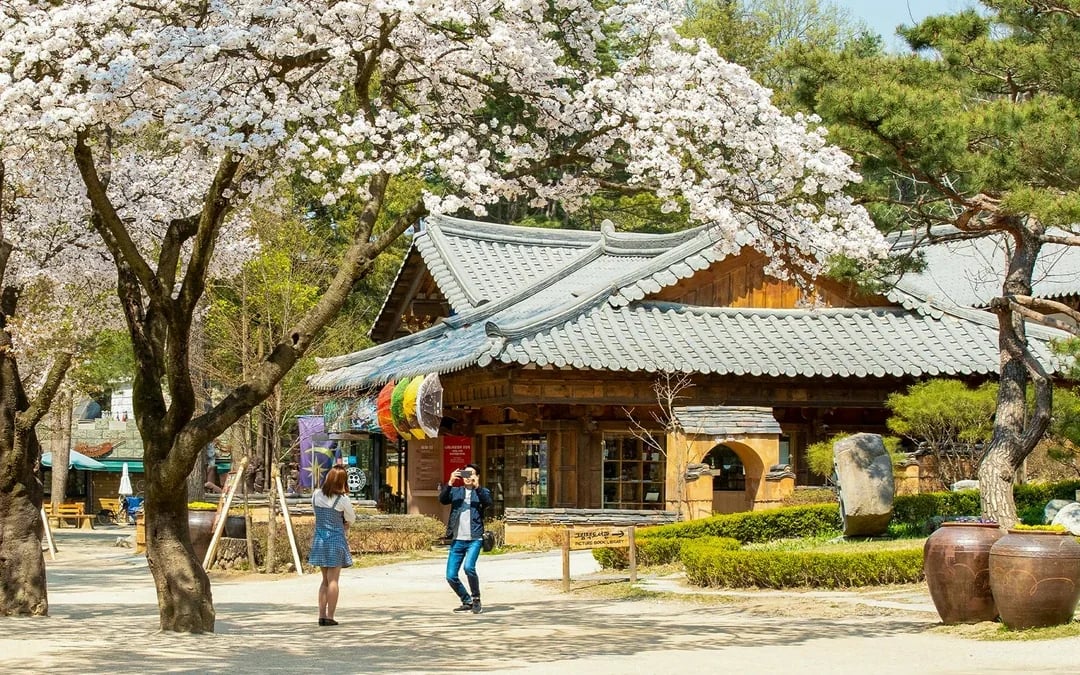 From Seoul: Nami Island & Alpaca World Guided Tour Image 2