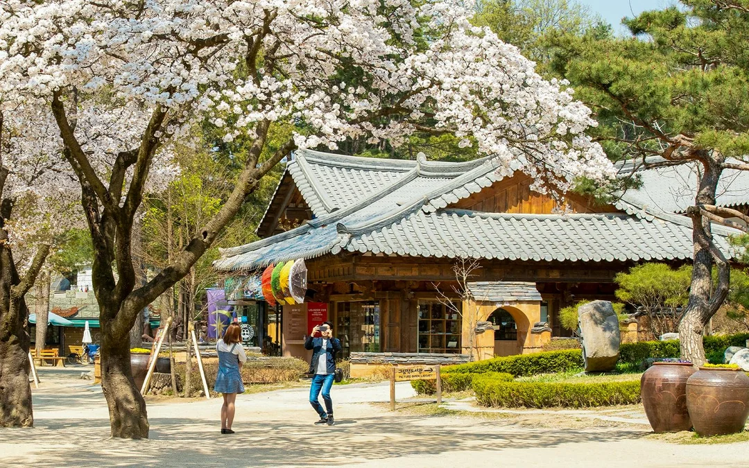 From Seoul: Nami Island & Alpaca World Guided Tour Image 2